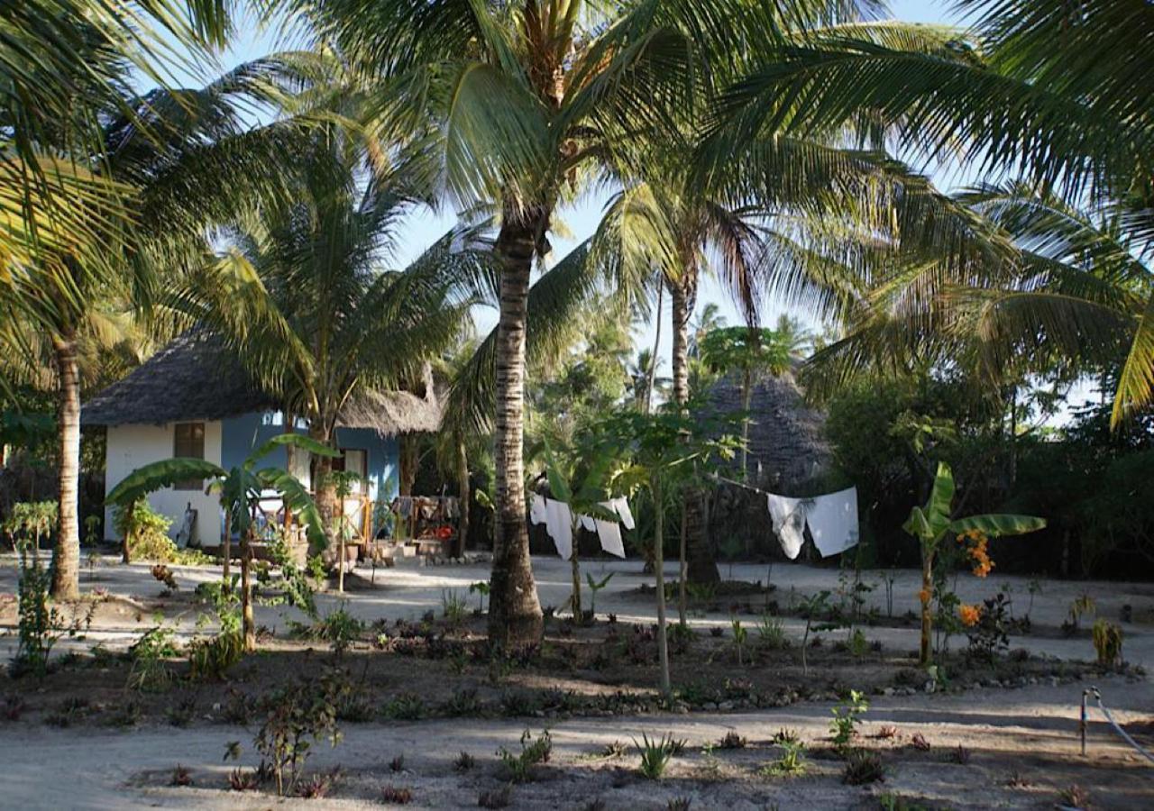 Bed and Breakfast Dreams Of Mapacha à Michamvi Extérieur photo